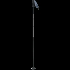 Alpine Poles Plus Line Dark 22/23, Skidstavar Unisex