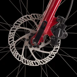 Ax+ 290 Ff Ane 22, Hybridcykel, Dam