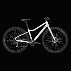 Ax 290 Ff Ane 23 Hybridcykel, Dam