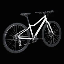 Ax 290 Ff Ane 23 Hybridcykel, Dam