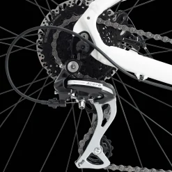 Ax 290 Ff Ane 23 Hybridcykel, Dam