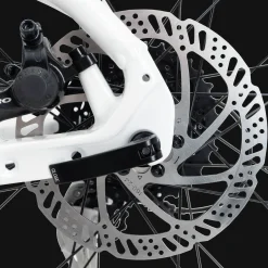 Ax 290 Ff Ane 23 Hybridcykel, Dam