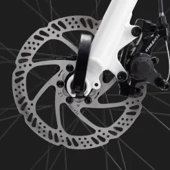 Ax 290 Ff Ane 23 Hybridcykel, Dam