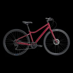 Ax+ 290 Ff Ane 23 Hybridcykel, Mangsidig Cykel, Dam