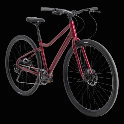 Ax+ 290 Ff Ane 23 Hybridcykel, Mangsidig Cykel, Dam