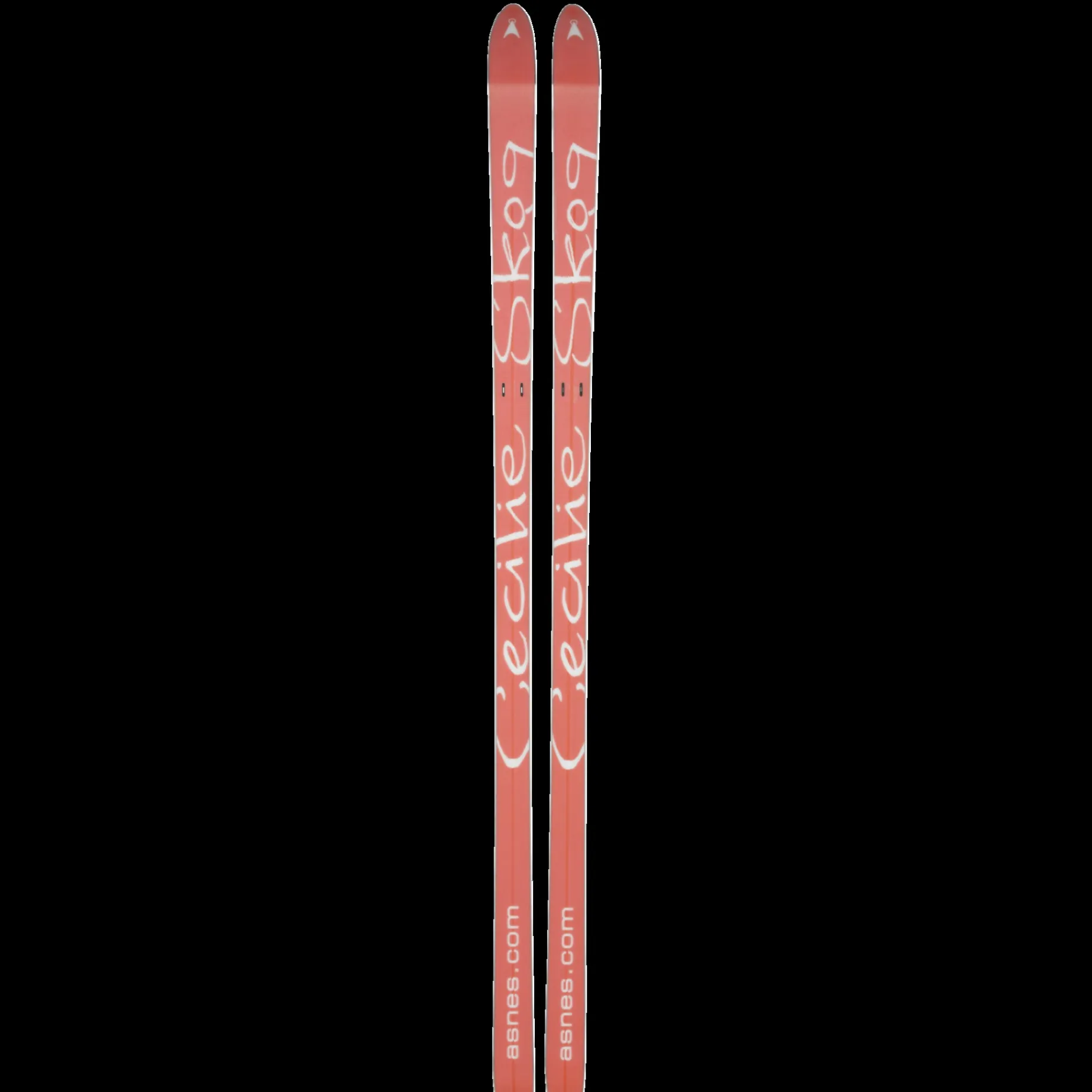 Bc Skis Cecilie Skog 23/24, Fjallskida Dam