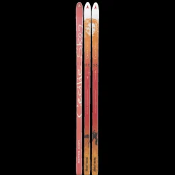 Bc Skis Cecilie Skog 23/24, Fjallskida Dam