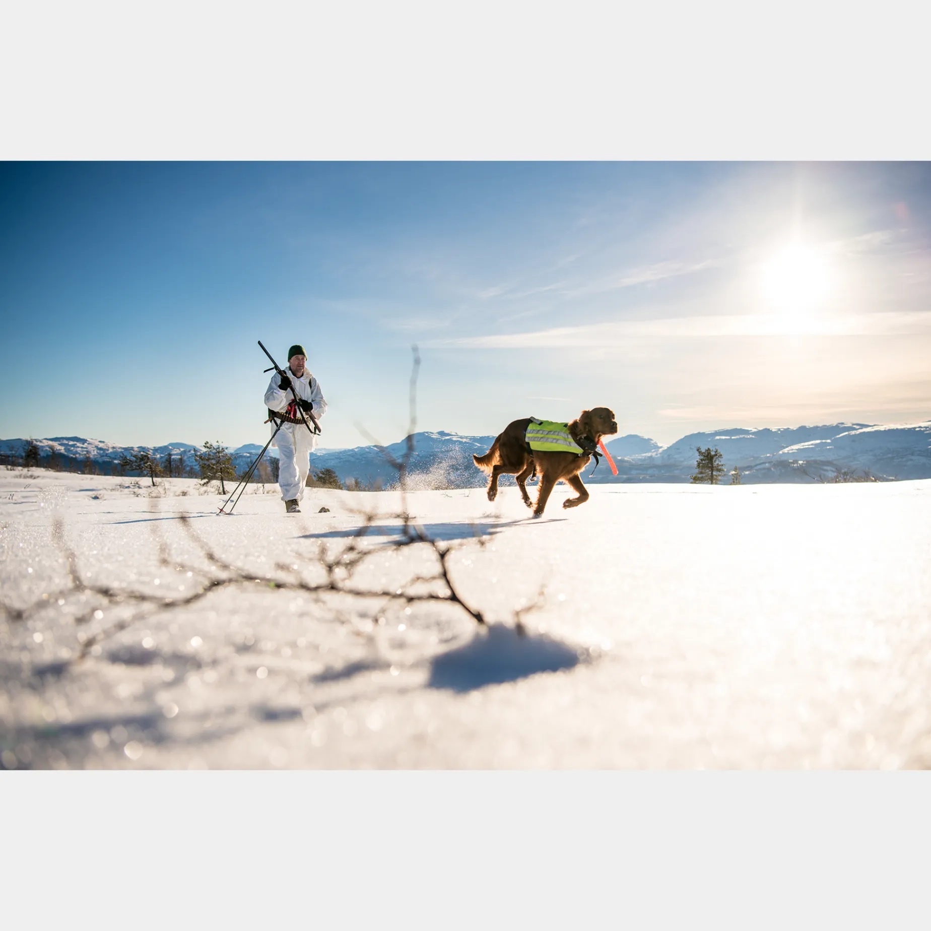 Bc Skis Kongsvold Hunter 23/24, Jaktskida Senior