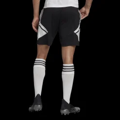 Con22 Tr Sho, Herrshorts