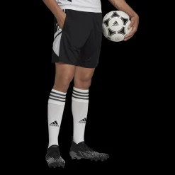 Con22 Tr Sho, Herrshorts