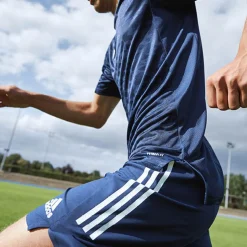 Condivo 21 Shorts, Shorts Senior