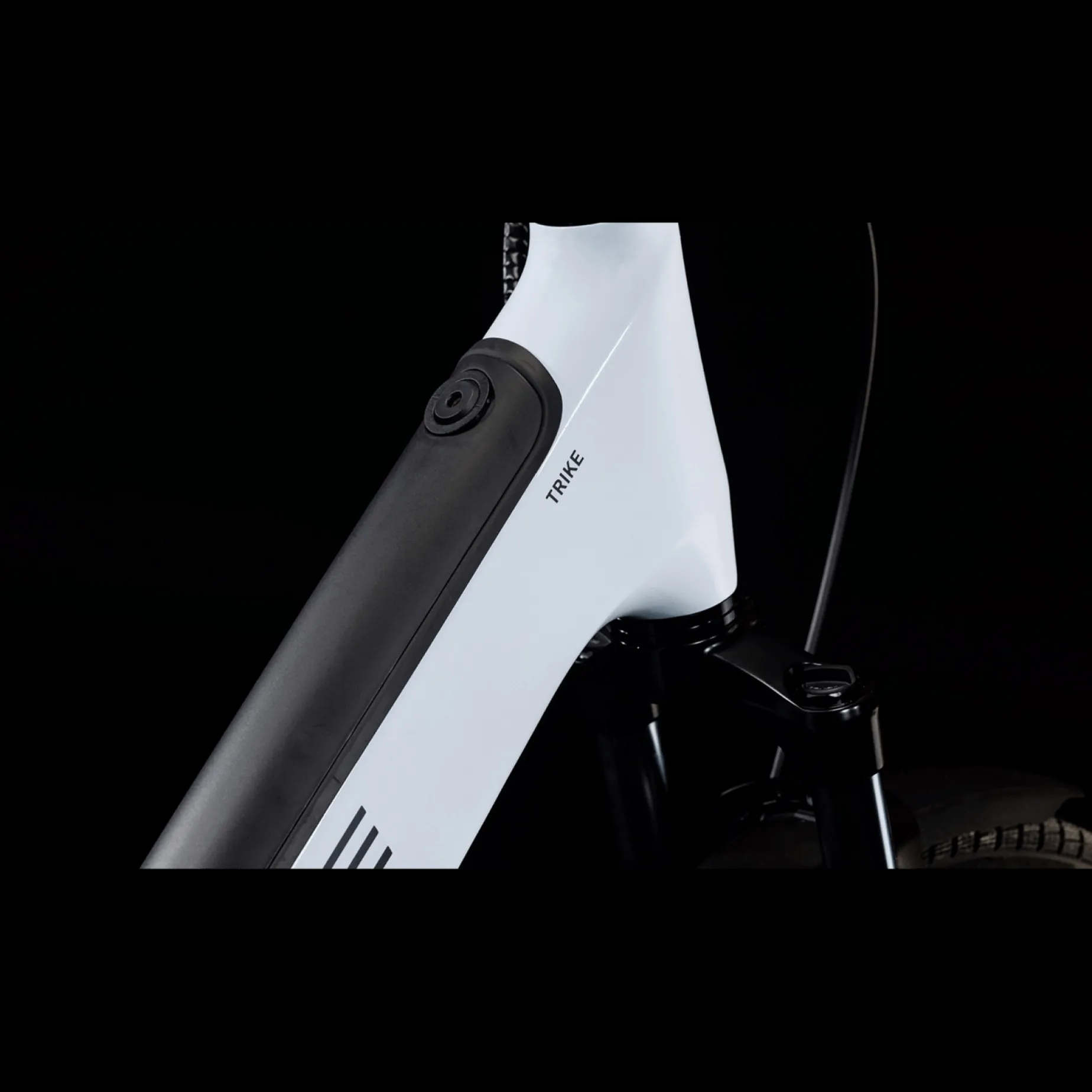 Cube Trike Hybrid Family 750, Hybridcykel, Elcykel, Unisex