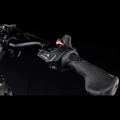 Cube Trike Hybrid Family 750, Hybridcykel, Elcykel, Unisex