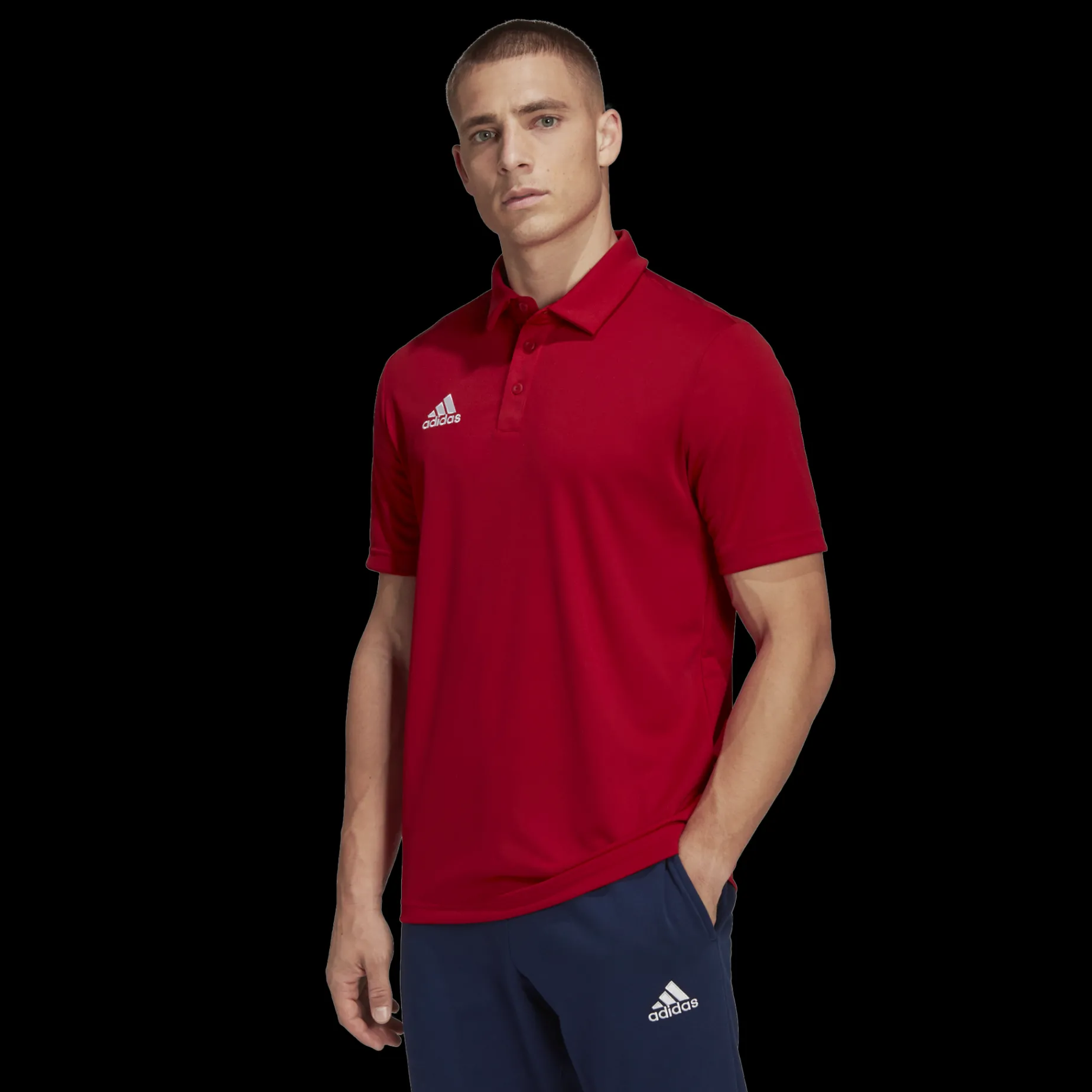 Ent22 Polo, Polotroja Herr