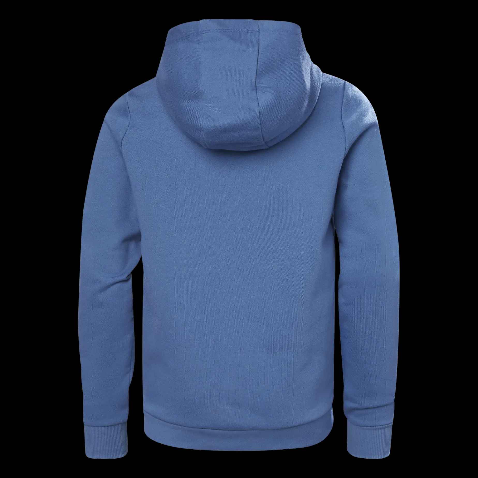 Hh Logo Hoodie 2.0, Hoodie, Junior