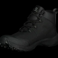 Jokk 2 Bugrip, Dubbskor Dam