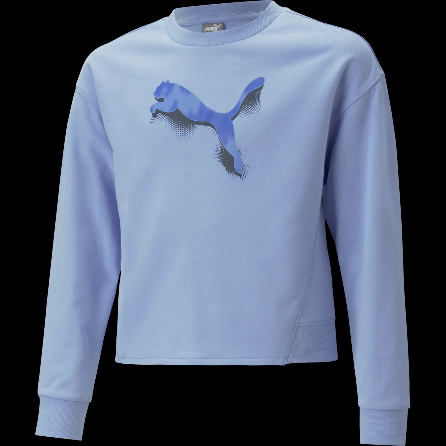 Modern Sports Crew, Troja, Junior