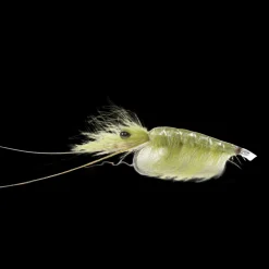 Olive Cdc Shrimp #6