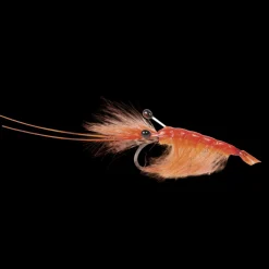 Orange Cdc Shrimp #6