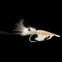 Sand Cdc Shrimp #6