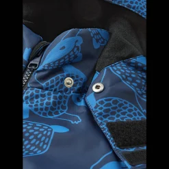 Snowstorm, Overall Barn