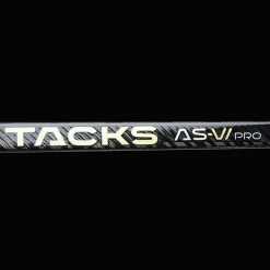 Tacks As-Vi Pro 23/24, Hockeyklubba, Senior