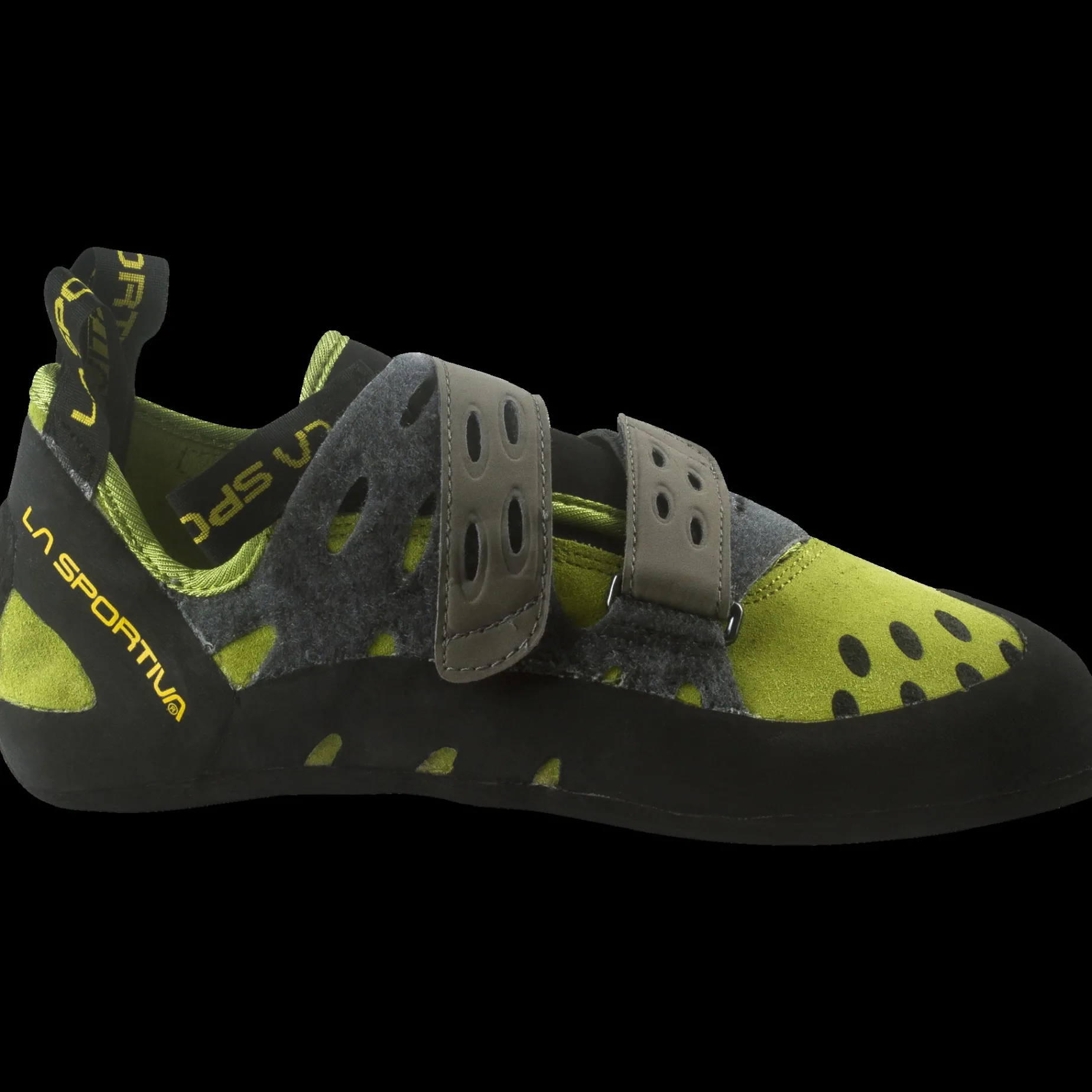 Tarantula, Klattersko