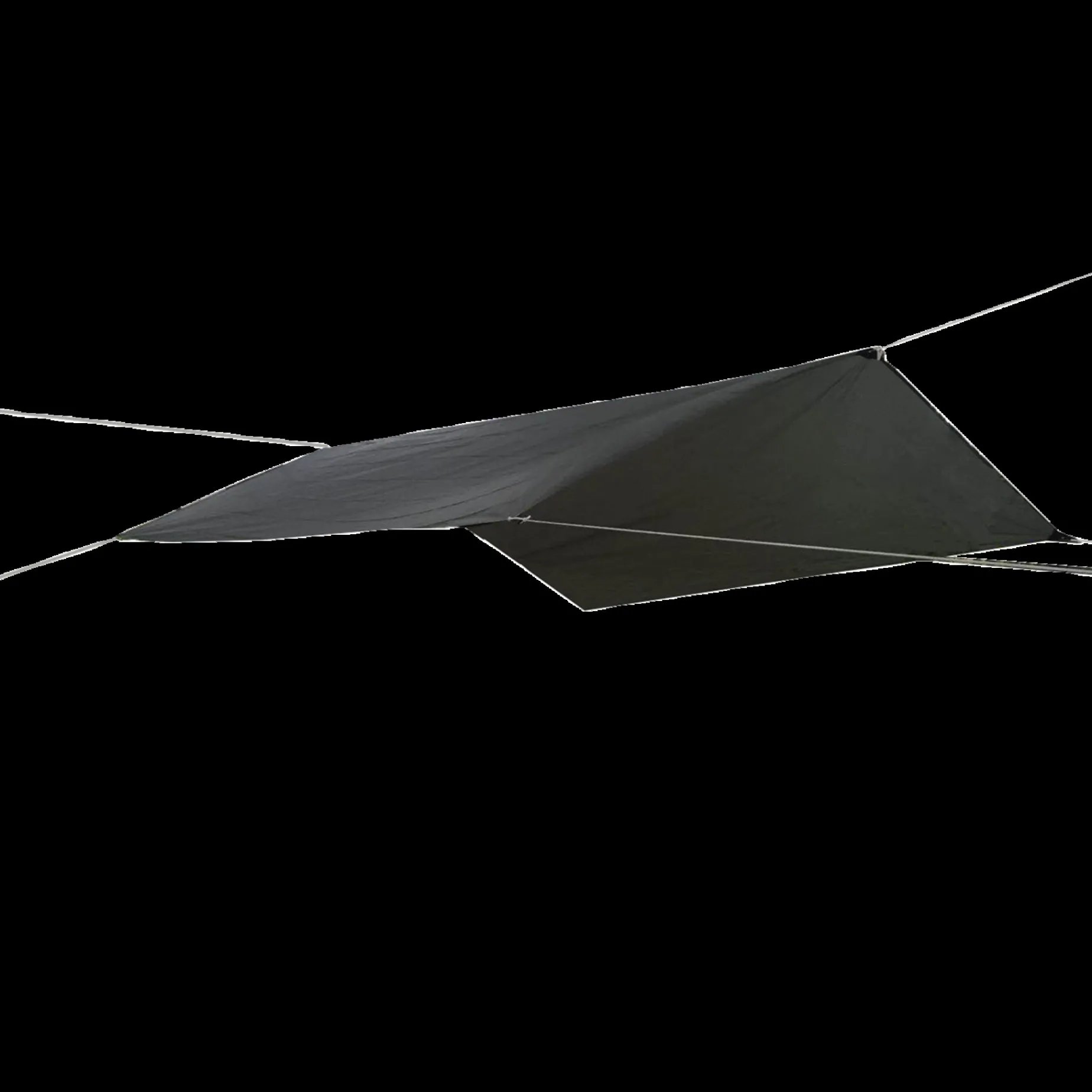 Tarp 3X4, Tarp