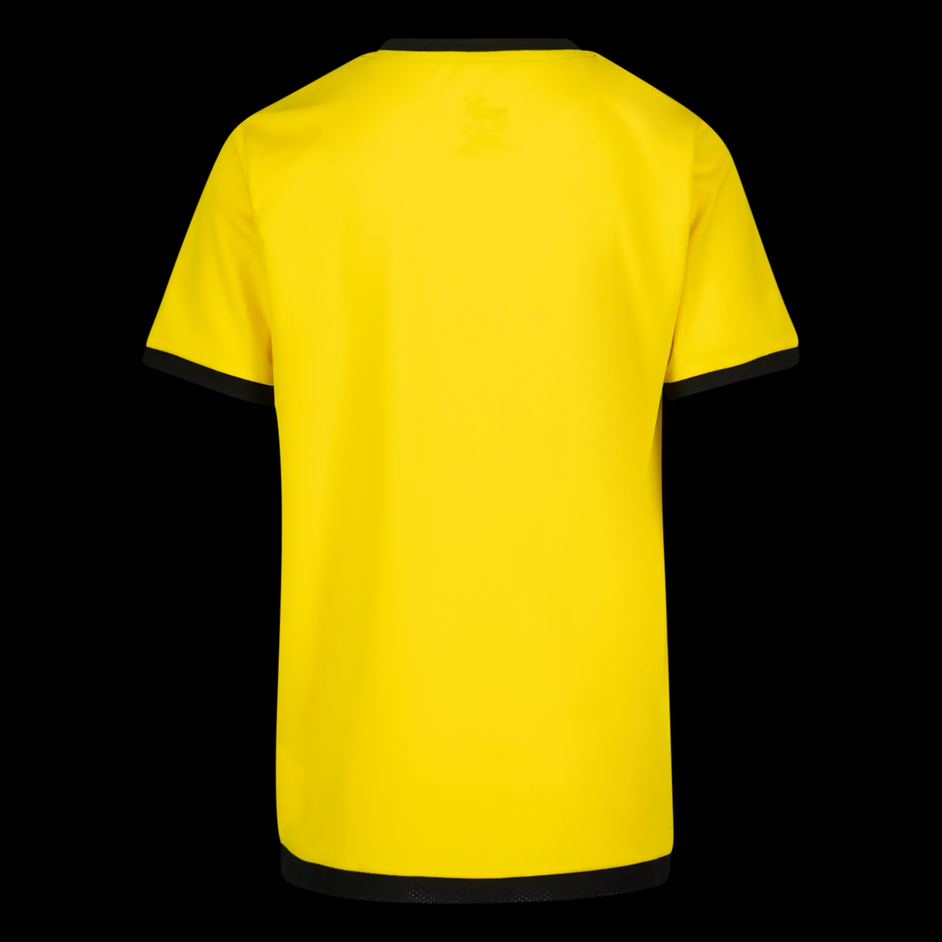 Teamliga Jersey Jr, Traningstroja Junior