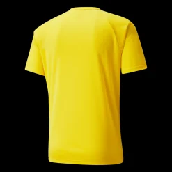 Teamliga Striped Jersey Jr, Traningstroja Junior