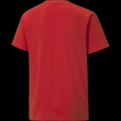 Teamliga Striped Jersey Jr, Traningstroja Junior