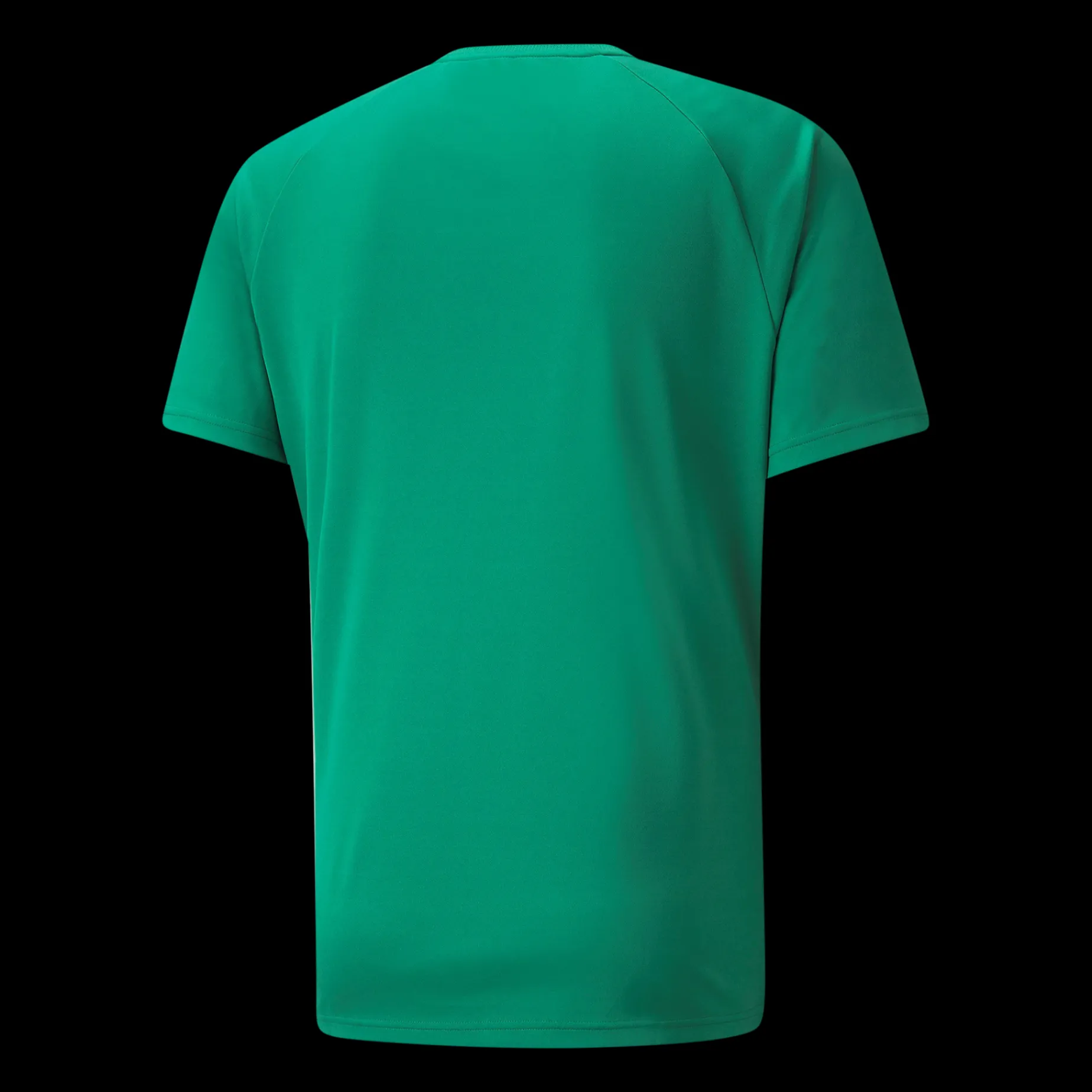 Teamliga Striped Jersey Jr, Traningstroja Junior