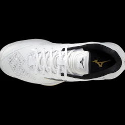 Wave Stealth V, Handbollsskor Herr
