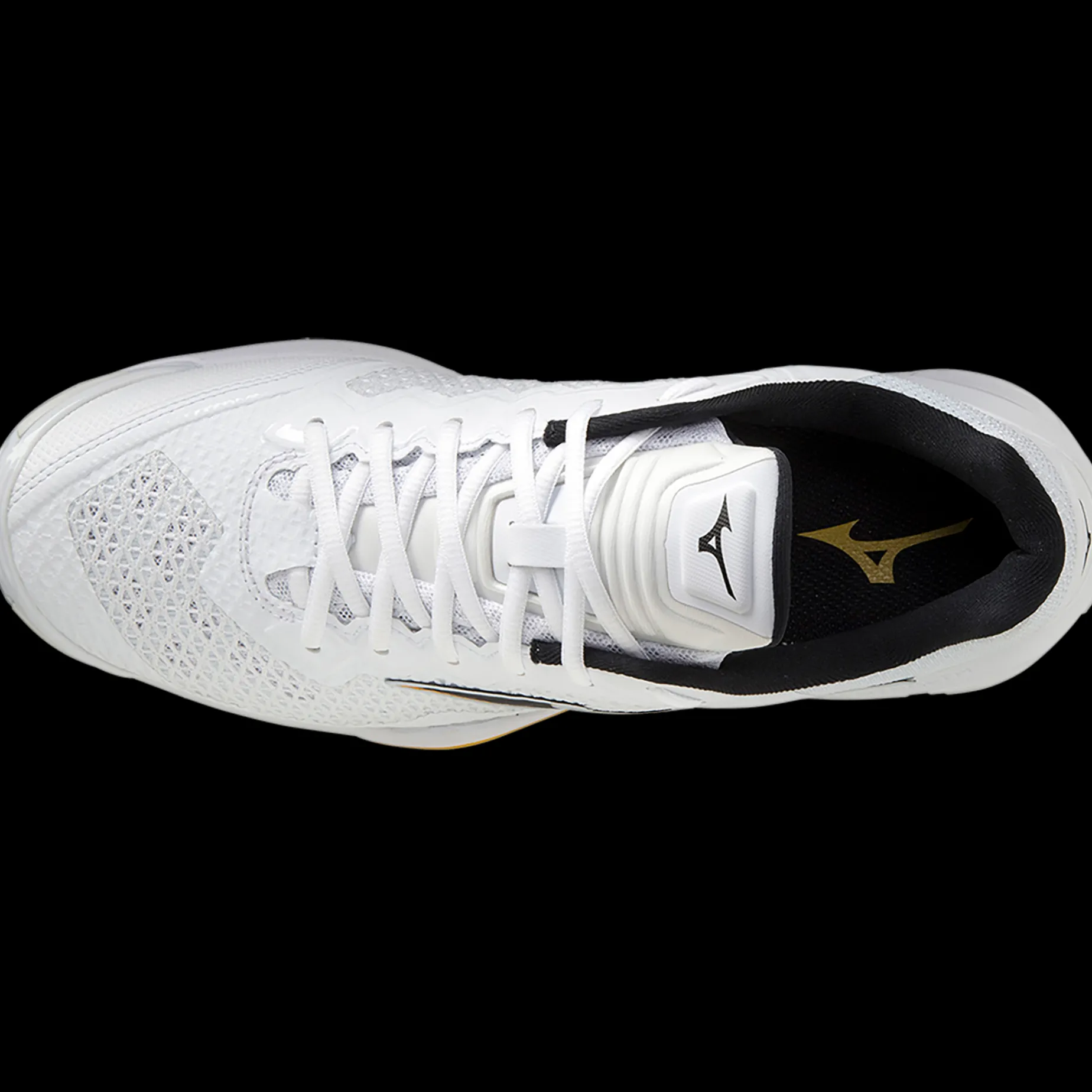 Wave Stealth V, Handbollsskor Herr